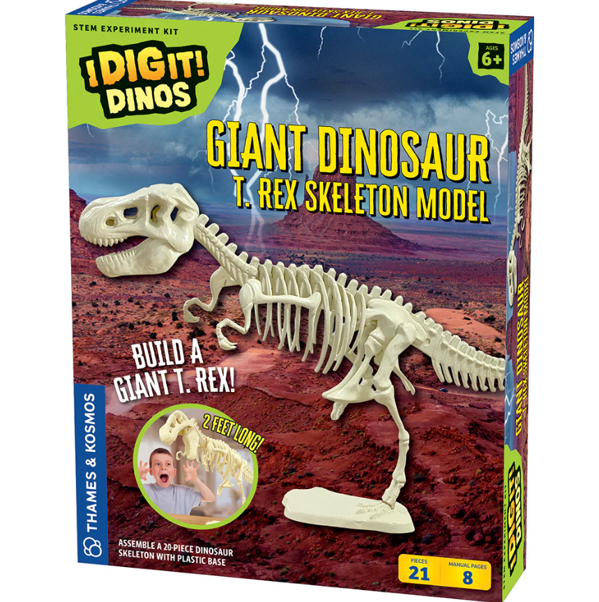 Giant Dinosaur Skeleton Kit | Ages 6+ | 21 Pieces | STEM Kit