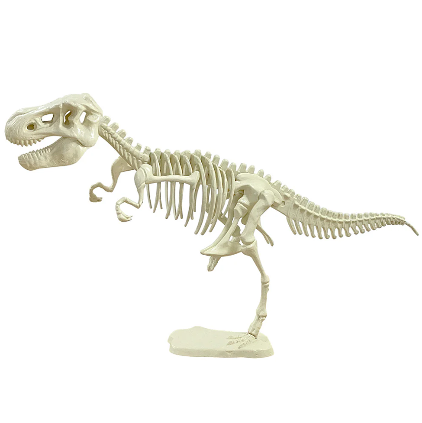 Giant Dinosaur Skeleton Kit | Ages 6+ | 21 Pieces | STEM Kit