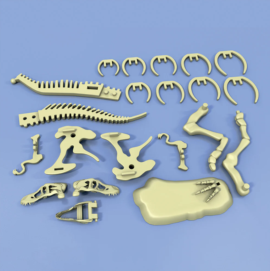 Giant Dinosaur Skeleton Kit | Ages 6+ | 21 Pieces | STEM Kit