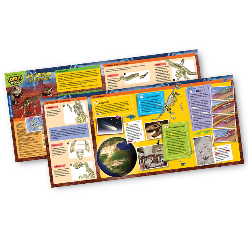 Giant Dinosaur Skeleton Kit | Ages 6+ | 21 Pieces | STEM Kit