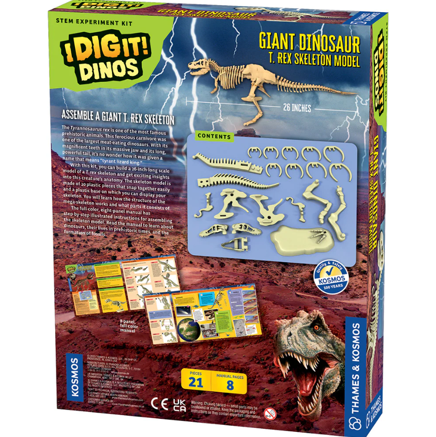 Giant Dinosaur Skeleton Kit | Ages 6+ | 21 Pieces | STEM Kit