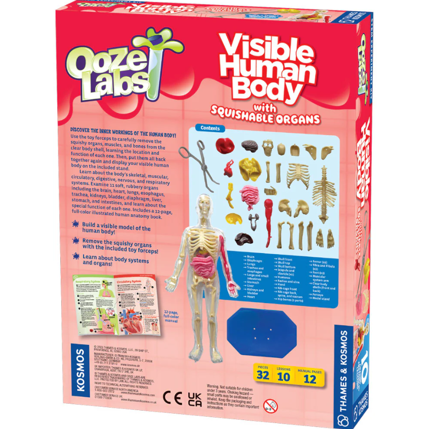 Ooze Labs: Visible Human Body with Squishable Organs | Ages 6+ | 32 Pieces | STEM Experiment Kit