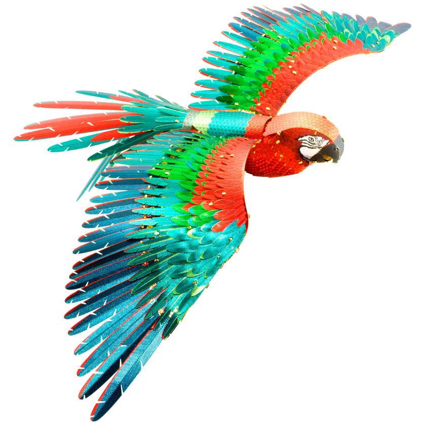 Metal Earth 3D Puzzle | Premium Series Parrot