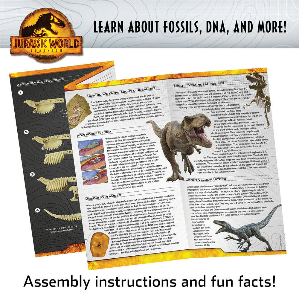 Jurassic World: Dominion Dinosaur Dig - Blue, T. Rex, and Amber | Ages 6+ | STEM Kit