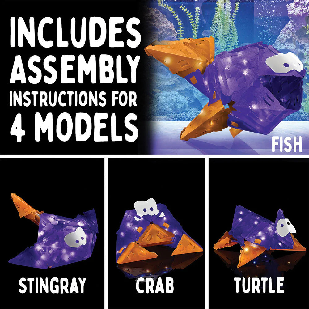 Creatto: Flashy Fish & Silly Swimmers | Ages 8+ | 43 Pieces | STEM Kit